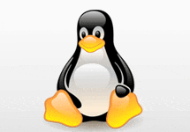 Поддержка Linux